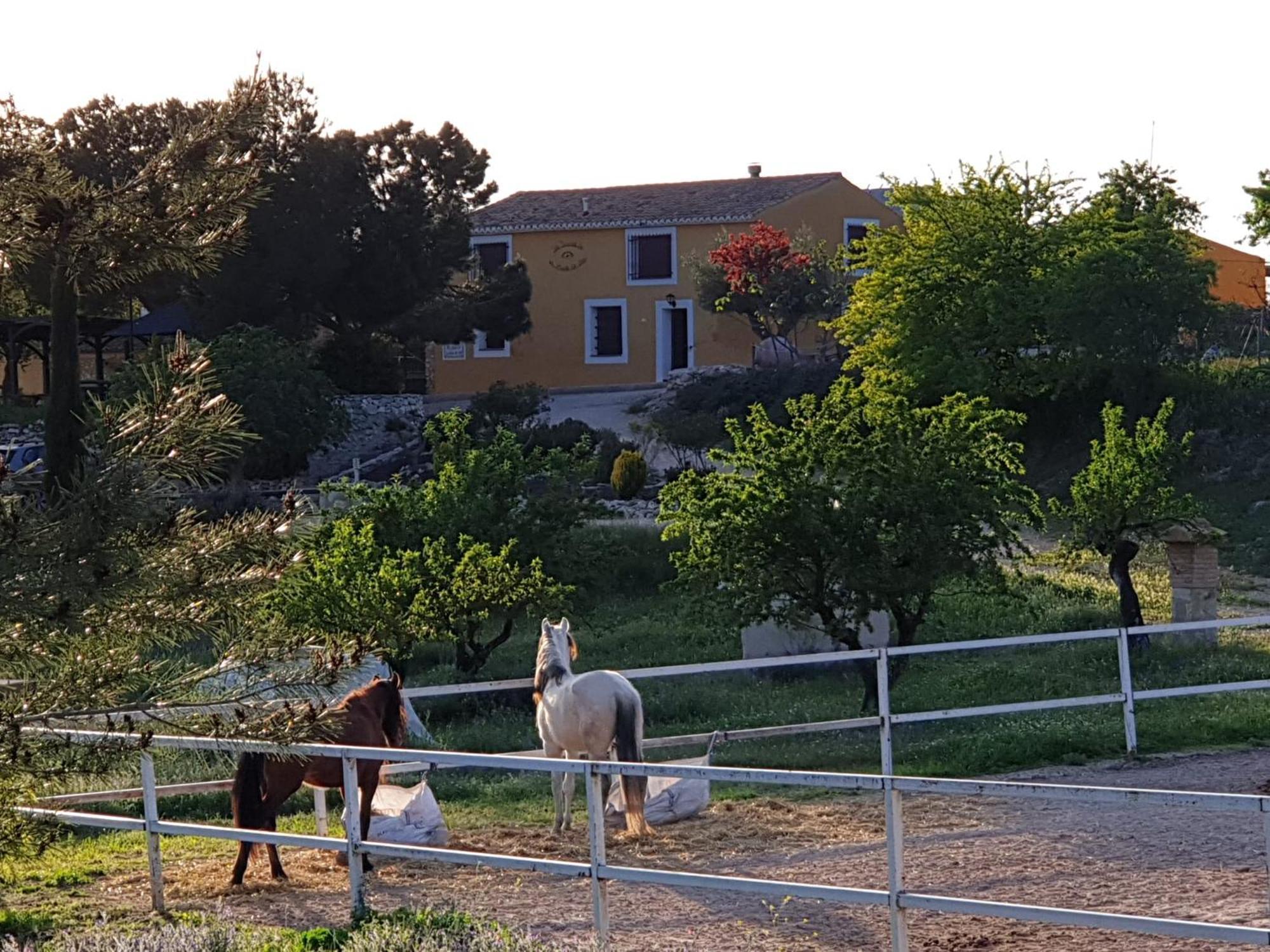 Complejo Rural Las Lomas De Biar Exterior foto